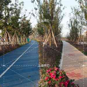生态素土、胶粘石透水地坪等材料厂家推荐:优质选择助力工程建设
