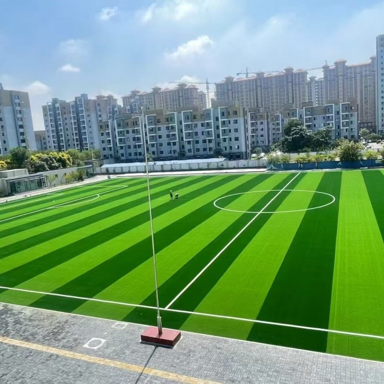 足球场人造草坪