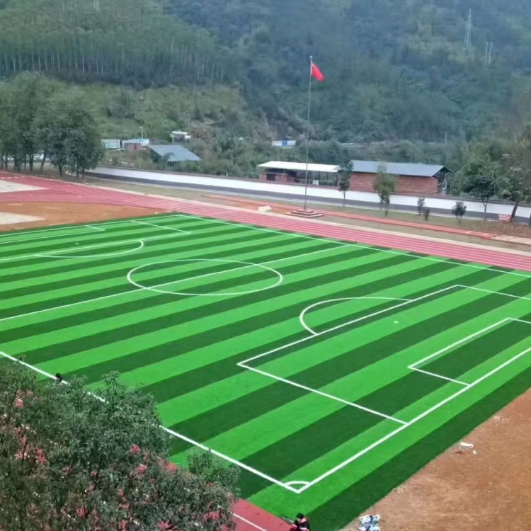 足球场草坪