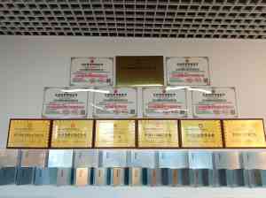 北京降尿酸品牌推荐：风清定康等优质产品助力缓解痛风