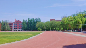 乌鲁木齐分层教学、一对一及小班复读培训推荐：清北复读班快速提分之选