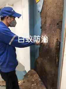泉州、莆田、厦门、漳州、宁德上门除白蚁服务优质商家推荐