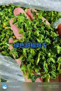 橙皮、干果、谷物等烘干设备厂家推荐:开封新平烘干设备制造有限公司领衔