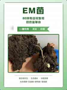 功能菌定做、EM菌生产及代加工厂家推荐:济宁、北京优质供应商优选