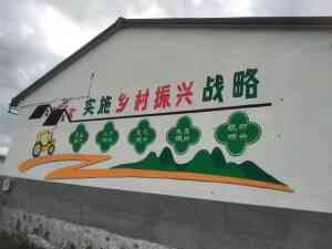 四川、广东、海南、广西、重庆多地墙绘机构优质之选,为空间增添绚丽色彩
