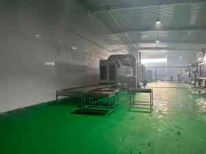 红薯/芭蕉芋/土豆淀粉加工设备厂家推荐：汝阳县古城机械厂实力之选