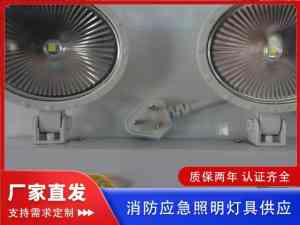 北京灯具开关厂与河南应急灯出口商推荐：厂家保障安全照明