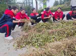 多地孩子沉迷游戏教育机构推荐:为青少年成长保驾护航