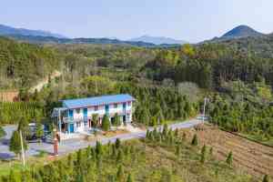 湖南生态土鸡供应商推荐：老母鸡、滋补土鸡，湘菜食材优选之选