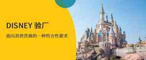 广东地区迪斯尼验厂审核、授权办理及认证服务优质机构推荐