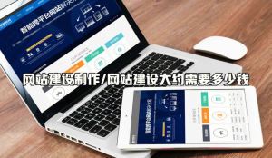 青海乐都、西宁、平安、共和县等地优质网站建设与定制开发服务推荐