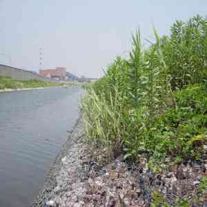 雷诺护垫护坡厂家推荐:北京天津源头加工厂,厂家解析