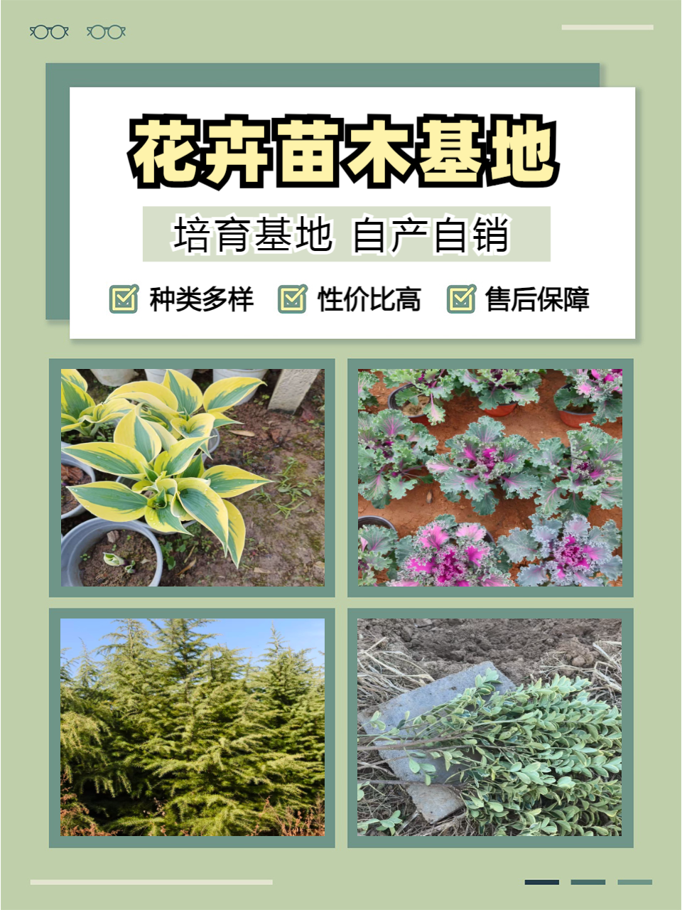 花卉图片