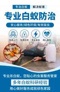 福建白蚁治理机构推荐：聚焦专业服务与长效防治，福建猫头鹰环保脱颖而出