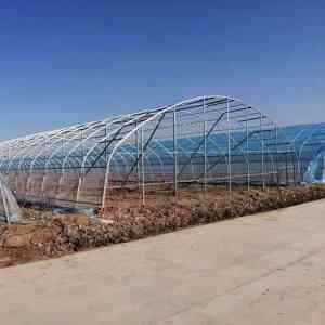 潍坊玻璃温室制造厂推荐:青州市金辉温室材料有限公司,多类型温室定制专家