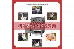 全自动家禽脱毛机等设备厂家推荐:聚焦浏阳市国梁机械制造有限公司优势解析