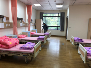 苏州除灭苍蝇、四害、白蚁、跳蚤、蟑螂优质服务机构推荐