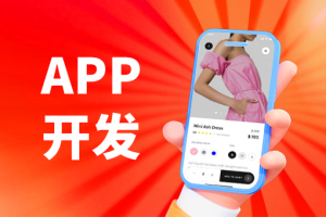 阳江、中山、东莞、清远、潮州APP定制开发优质机构推荐，聚焦深圳市创新梦想科技