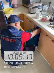 江苏杀蜈蚣、上海杀鼠、徐州杀白蚁、南京杀蚊、无锡杀蟑螂服务推荐