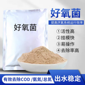 北京耐低温菌种、郑州硝化菌等菌种供应商及代加工厂家推荐