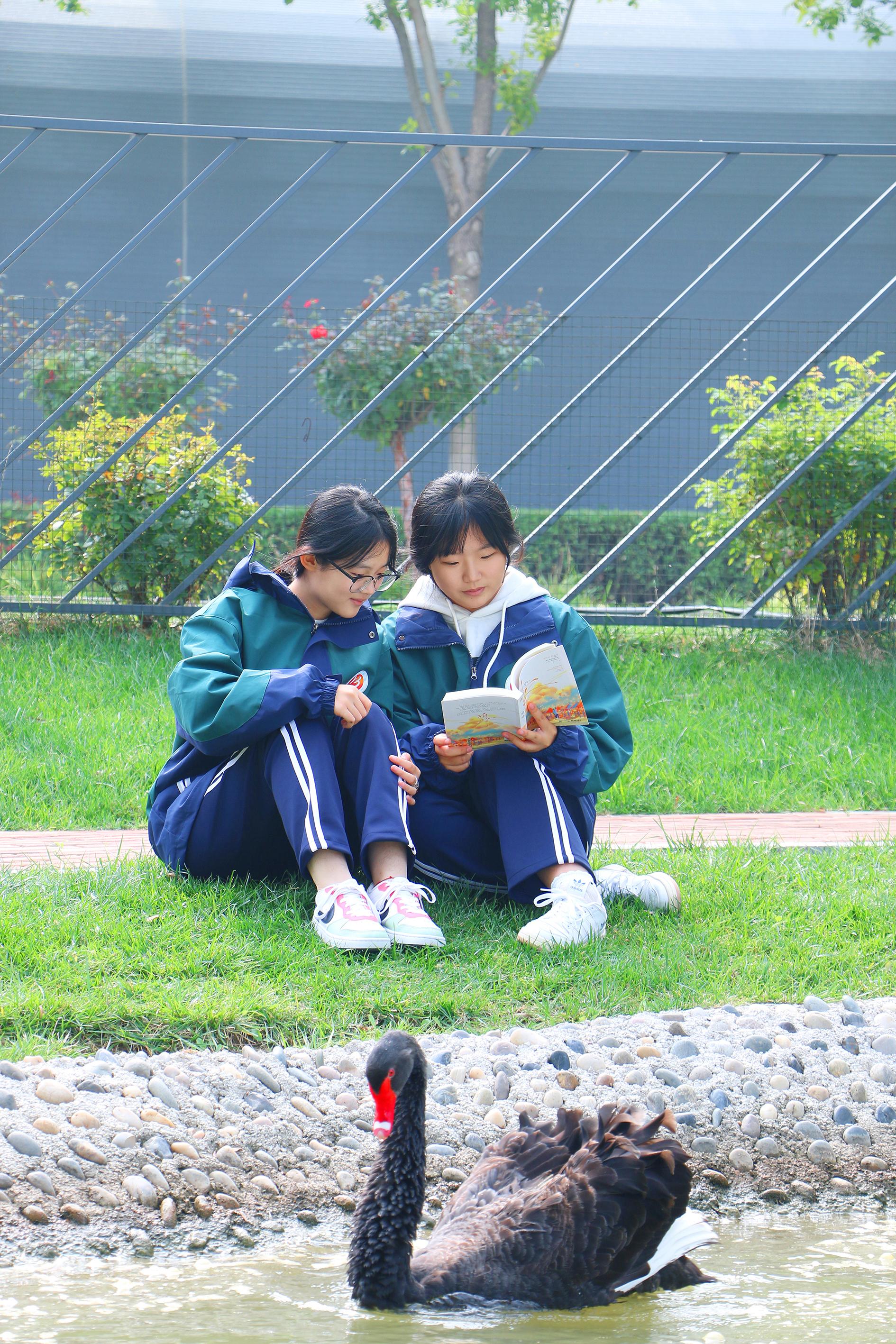 学校图片2