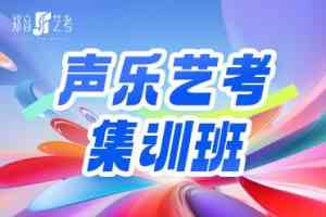 全方位解析:河南音乐艺考优质机构,涵盖多地集训与专升本服务