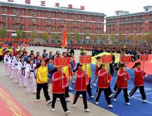 河南郑州武校排名总校揭秘:登封少林小龙武校优势全解析