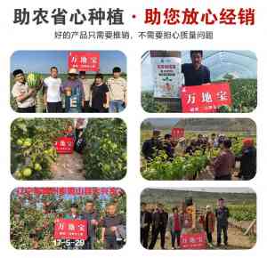 玉米、花生、小麦、苹果、茶叶专用肥厂家推荐:安阳中盛肥业实力之选
