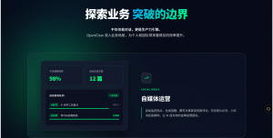 云南OpenClaw替代、重庆服务商、多地部署定制等服务深度解析