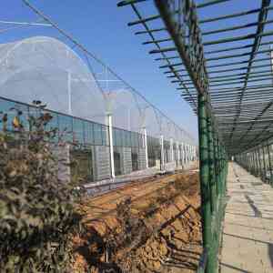 山东连栋薄膜温室加工厂等厂家推荐:青州市金辉温室材料有限公司领衔