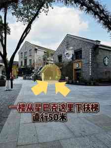 重庆二手奢侈品包包回收咨询:旧包处理变现、名包回收服务全攻略
