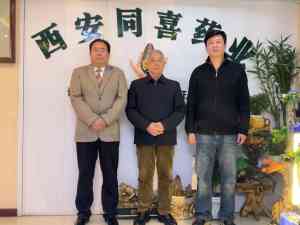 西安大健康、康养、膏药加盟培训推荐：蒋同喜牌骨通贴加盟品牌优选
