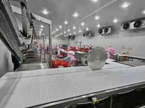 天津脏净箱清洗线、高架输送线等优质厂家推荐,实力之选