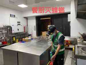 洛溪、海珠区、华南碧桂园、祈福新村等地防治白蚁除四害服务优质企业推荐