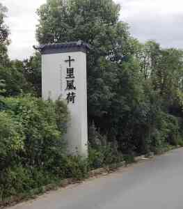 廊坊、雄安、承德、衡水、沧州防水服务优选:德清微晶防水解决方案