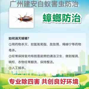 幼儿园、家庭必备!广州杀虫灭鼠、白蚁防治企业推荐