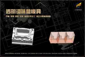 调味盒、透明盒等模具定做厂家推荐:聚焦台州、北京优质模具制作公司