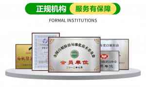 福建白蚁治理企业推荐:长效根除白蚁,专业团队守护家园