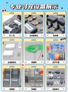 长春、呼和浩特等地寻宠侦探服务推荐:专业团队助力爱宠回家