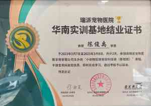 深圳宠物体检、24小时医疗及内外科靠谱品牌:深圳市瑞派信德宠物医院
