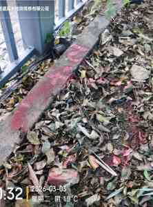 深圳漏水检测与抢修服务渠道推荐:聚焦暗管查漏与管道维修专业解决方案
