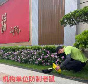 专业之选!灭蚂蚁、灭鼠及杀虫服务,广州市相关企业推荐