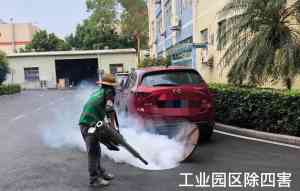 广州多区除四害、白蚁预防及消毒服务优质企业推荐,保障生活环境健康
