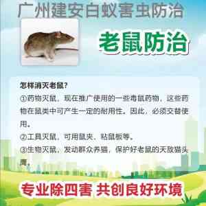 专业之选!蟑螂消杀、除白蚁及除四害企业厂家深度推荐