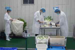 北京天津牛油火锅底料批发加工厂家推荐:优质配方制造企业