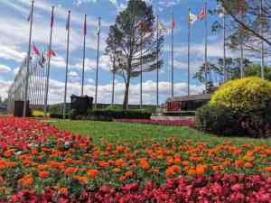 沈阳及内蒙古地区优质锥形旗杆厂家推荐:聚焦厂商实力解析