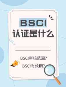 深圳、韶关、广州、珠海等地 BSCI 验厂咨询与认证服务优质渠道推荐