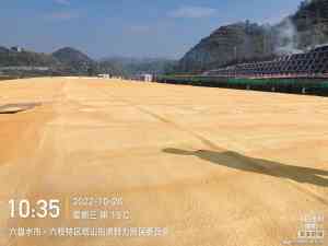 优质聚氨酯喷涂厂家推荐:山东粮仓、北京硬泡及冷库等多场景适用厂商