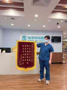 深圳宠物医疗机构推荐:聚焦绝育、手术、眼科及急诊专业服务