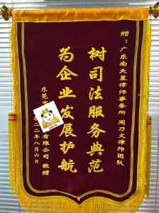 东莞及松山湖多类刑事犯罪辩护律师推荐:聚焦专业能力与成功案例